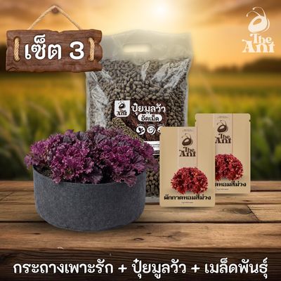 ชุดพร้อมปลูกผักกาดหอมสีม่วงครบวงจร - กระถางผ้าแบนระบายอากาศ + ปุ๋ยมูลวัวอัดเม็ด 1 กก. + เมล็ดพันธุ์ 2 ซอง