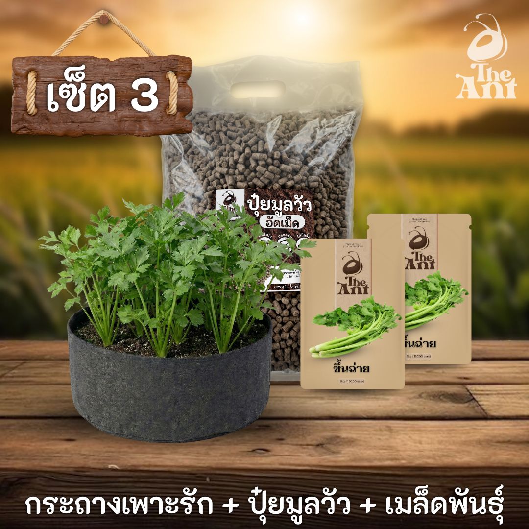 ชุดพร้อมปลูกคื่นช่ายครบวงจร - กระถางผ้าแบนระบายอากาศ + ปุ๋ยมูลวัวอัดเม็ด 1 กก. + เมล็ดพันธุ์ 2 ซอง