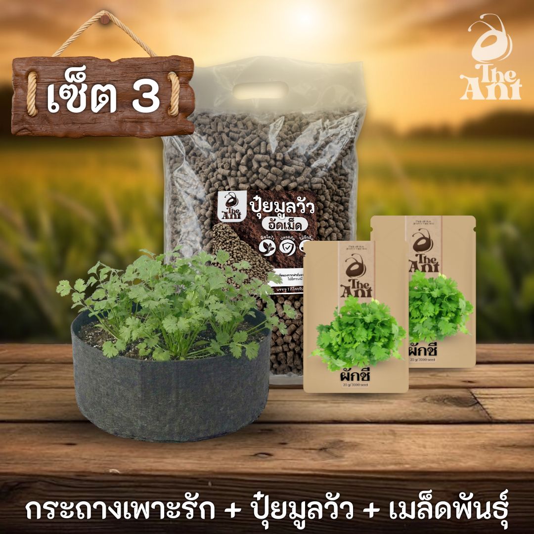 ชุดพร้อมปลูกผักชีครบวงจร - กระถางผ้าแบนระบายอากาศ + ปุ๋ยมูลวัวอัดเม็ด 1 กก. + เมล็ดพันธุ์ 2 ซอง