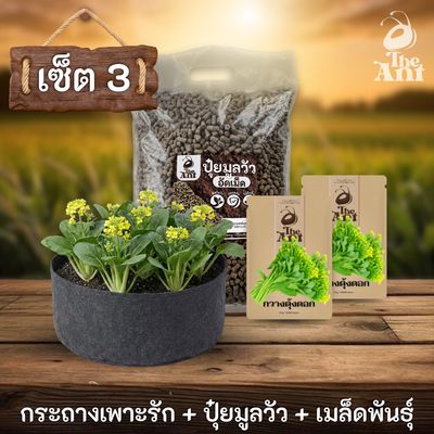 ชุดพร้อมปลูกกวางตุ้งดอกครบวงจร - กระถางผ้าแบนระบายอากาศ + ปุ๋ยมูลวัวอัดเม็ด 1 กก. + เมล็ดพันธุ์ 2 ซอง