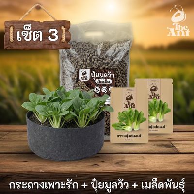 ชุดพร้อมปลูกกวางตุ้งฮ่องเต้ครบวงจร - กระถางผ้าแบนระบายอากาศ + ปุ๋ยมูลวัวอัดเม็ด 1 กก. + เมล็ดพันธุ์ 2 ซอง