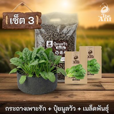 ชุดพร้อมปลูกผักโขมครบวงจร - กระถางผ้าแบนระบายอากาศ + ปุ๋ยมูลวัวอัดเม็ด 1 กก. + เมล็ดพันธุ์ 2 ซอง
