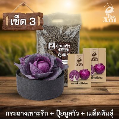 ชุดพร้อมปลูกกะหล่ำปลีสีม่วงครบวงจร - กระถางผ้าแบนระบายอากาศ + ปุ๋ยมูลวัวอัดเม็ด 1 กก. + เมล็ดพันธุ์ 2 ซอง