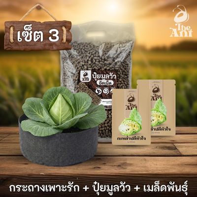 ชุดพร้อมปลูกกะหล่ำปลีหัวใจครบวงจร - กระถางผ้าแบนระบายอากาศ + ปุ๋ยมูลวัวอัดเม็ด 1 กก. + เมล็ดพันธุ์ 2 ซอง