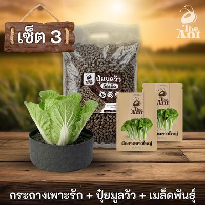 ชุดพร้อมปลูกผักกาดขาวใหญ่ครบวงจร - กระถางผ้าแบนระบายอากาศ + ปุ๋ยมูลวัวอัดเม็ด 1 กก. + เมล็ดพันธุ์ 2 ซอง