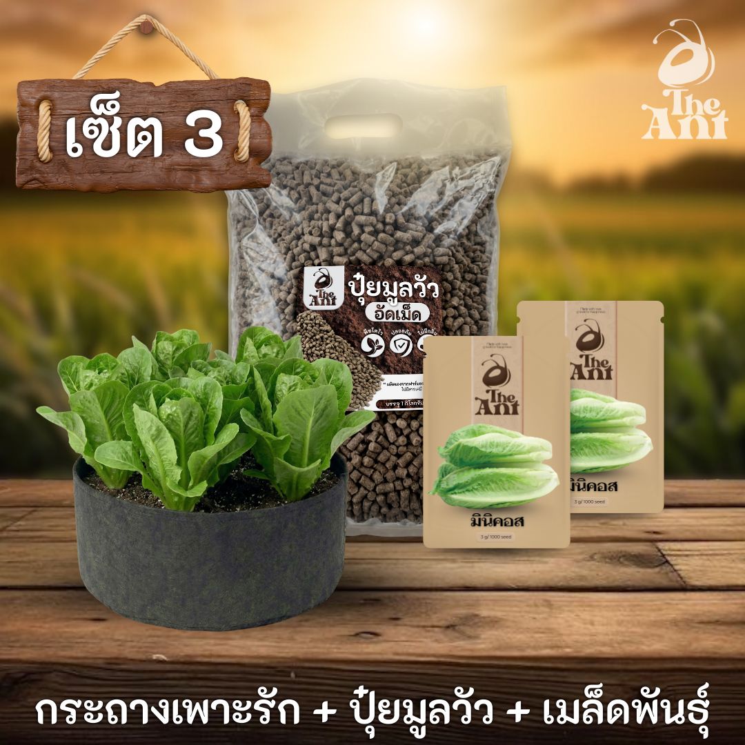 ชุดพร้อมปลูกมินิคอสครบวงจร - กระถางผ้าแบนระบายอากาศ + ปุ๋ยมูลวัวอัดเม็ด 1 กก. + เมล็ดพันธุ์ 2 ซอง