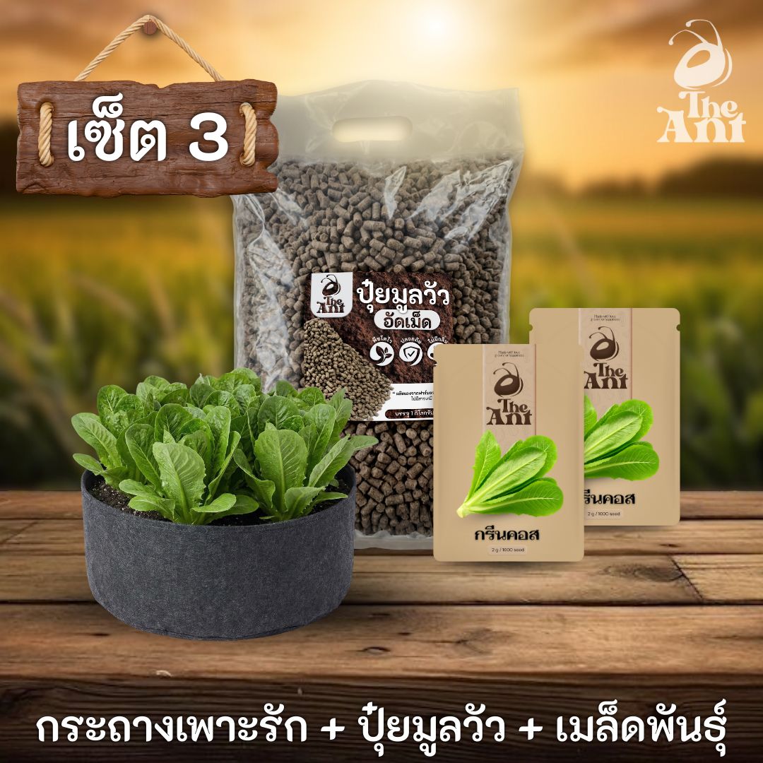 ชุดพร้อมปลูกกรีนคอสครบวงจร - กระถางผ้าแบนระบายอากาศ + ปุ๋ยมูลวัวอัดเม็ด 1 กก. + เมล็ดพันธุ์ 2 ซอง