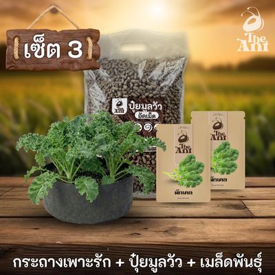ชุดพร้อมปลูกผักเคลครบวงจร - กระถางผ้าแบนระบายอากาศ + ปุ๋ยมูลวัวอัดเม็ด 1 กก. + เมล็ดพันธุ์ 2 ซอง