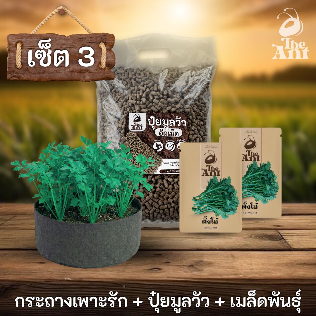 ชุดพร้อมปลูกตั้งโอ๋ครบวงจร - กระถางผ้าแบนระบายอากาศ + ปุ๋ยมูลวัวอัดเม็ด 1 กก. + เมล็ดพันธุ์ 2 ซอง