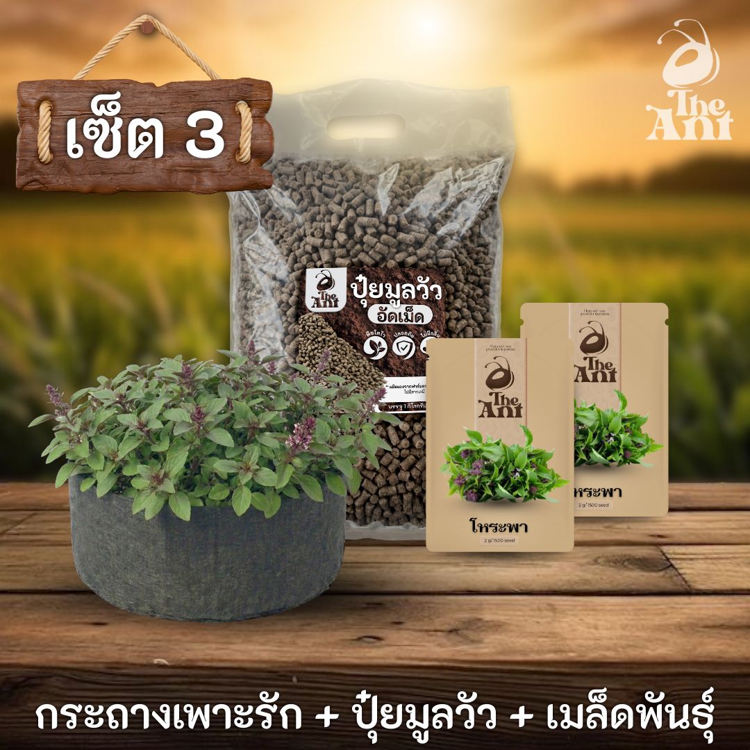 ชุดพร้อมปลูกโหระพาครบวงจร - กระถางผ้าแบนระบายอากาศ + ปุ๋ยมูลวัวอัดเม็ด 1 กก. + เมล็ดพันธุ์ 2 ซอง