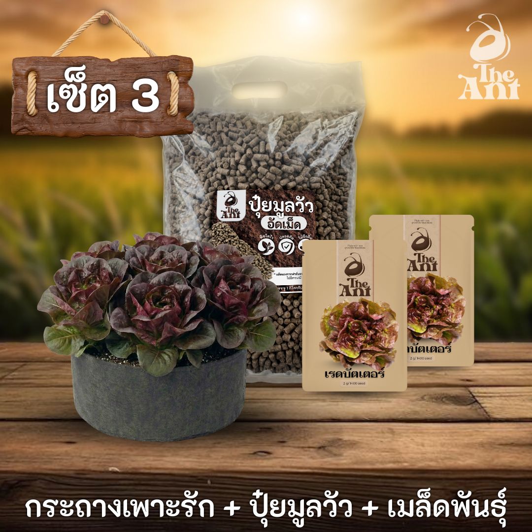 ชุดพร้อมปลูกเรดบัตเตอร์ครบวงจร - กระถางผ้าแบนระบายอากาศ + ปุ๋ยมูลวัวอัดเม็ด 1 กก. + เมล็ดพันธุ์ 2 ซอง