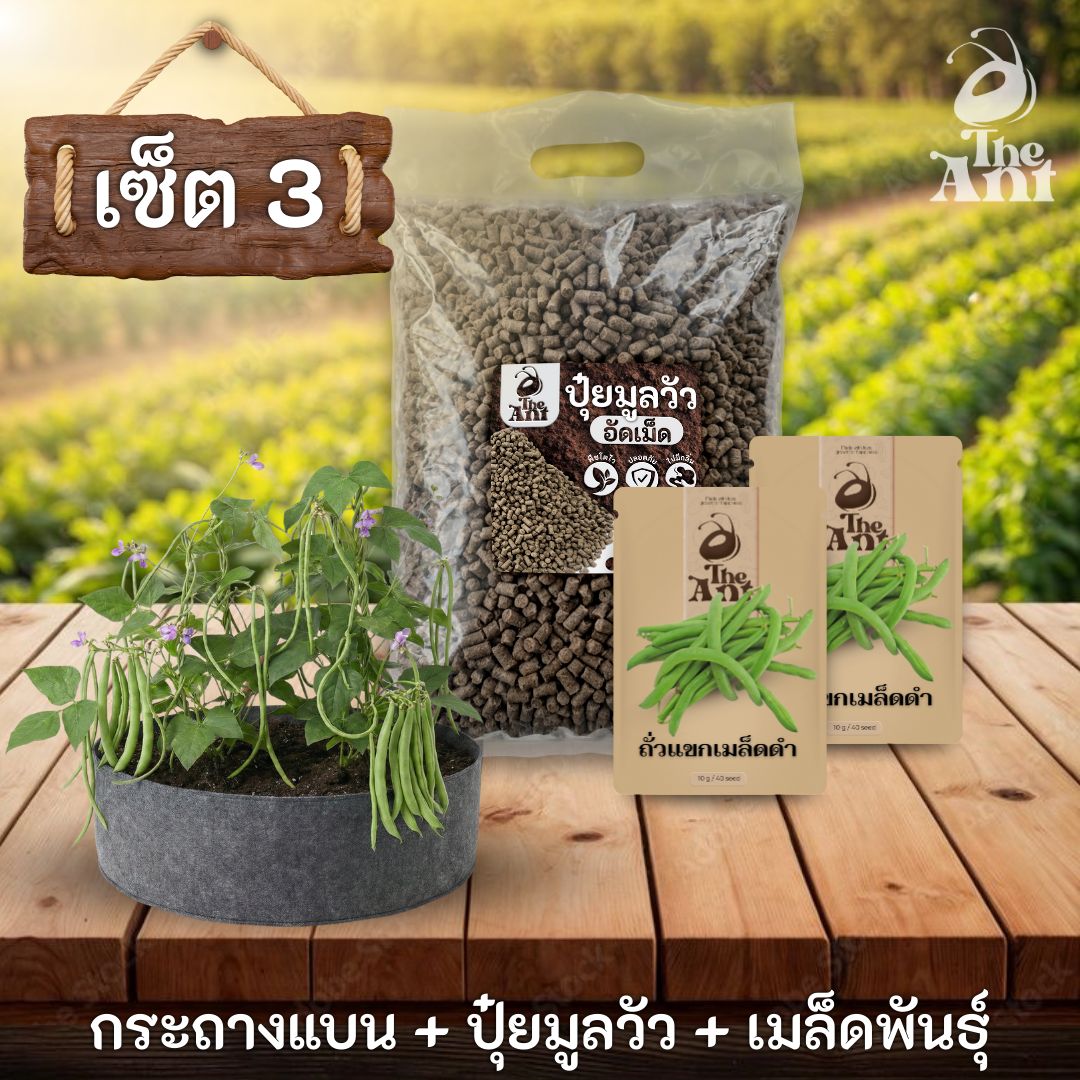 ชุดพร้อมปลูกถั่วแขกเมล็ดดำครบวงจร - กระถางผ้าแบนระบายอากาศ + ปุ๋ยมูลวัวอัดเม็ด 1 กก. + เมล็ดพันธุ์ 2 ซอง