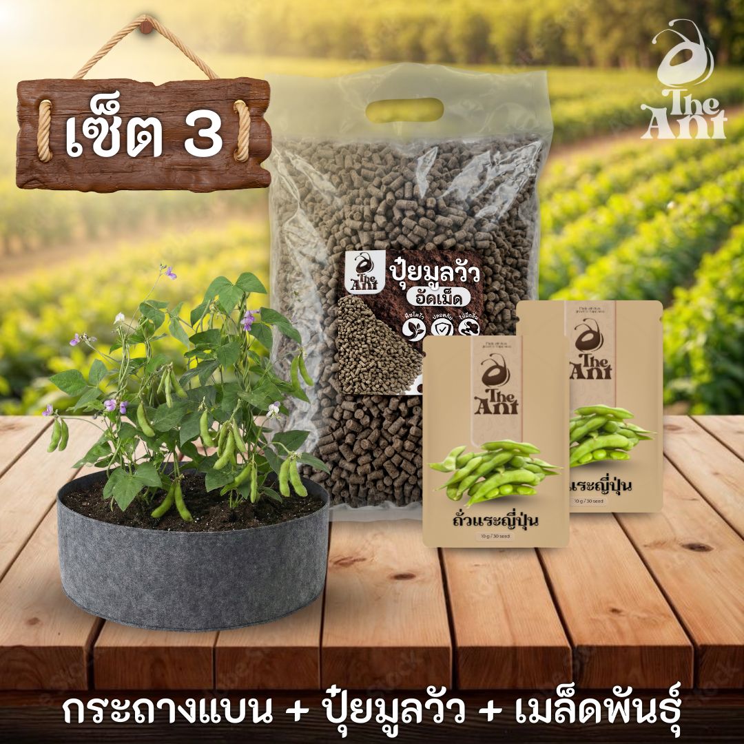 ชุดพร้อมปลูกถั่วแระญี่ปุ่นครบวงจร - กระถางผ้าแบนระบายอากาศ + ปุ๋ยมูลวัวอัดเม็ด 1 กก. + เมล็ดพันธุ์ 2 ซอง