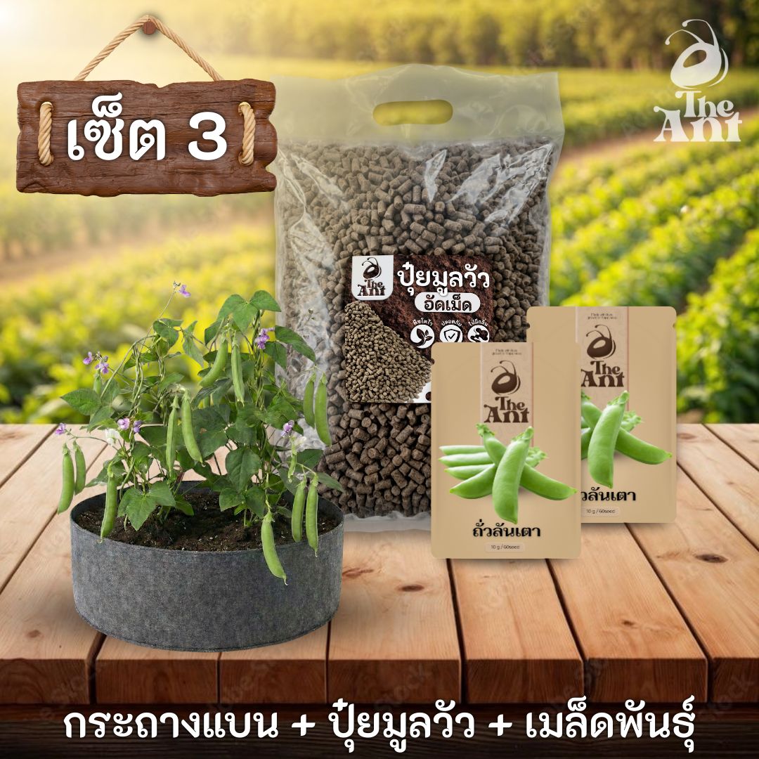 ชุดพร้อมปลูกถั่วลันเตาครบวงจร - กระถางผ้าแบนระบายอากาศ + ปุ๋ยมูลวัวอัดเม็ด 1 กก. + เมล็ดพันธุ์ 2 ซอง