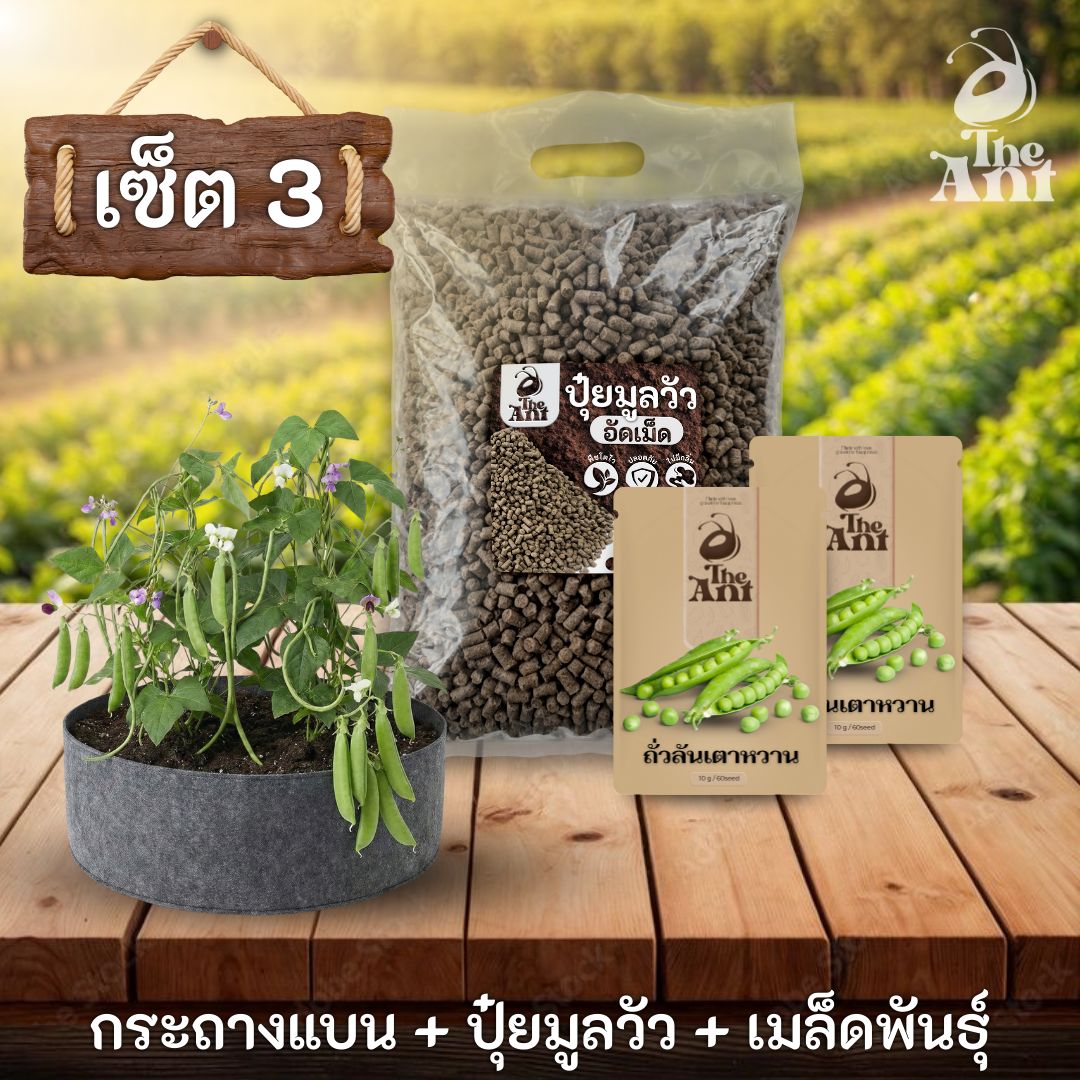 ชุดพร้อมปลูกถั่วลันเตาหวานครบวงจร - กระถางผ้าแบนระบายอากาศ + ปุ๋ยมูลวัวอัดเม็ด 1 กก. + เมล็ดพันธุ์ 2 ซอง