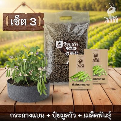 ชุดพร้อมปลูกถั่วลันเตาหวานครบวงจร - กระถางผ้าแบนระบายอากาศ + ปุ๋ยมูลวัวอัดเม็ด 1 กก. + เมล็ดพันธุ์ 2 ซอง