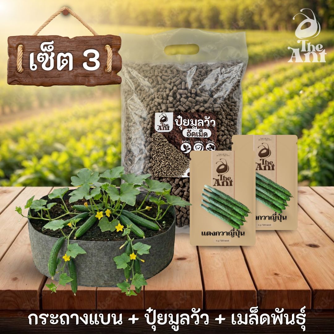 ชุดพร้อมปลูกแตงกวาญี่ปุ่นครบวงจร - กระถางผ้าแบนระบายอากาศ + ปุ๋ยมูลวัวอัดเม็ด 1 กก. + เมล็ดพันธุ์ 2 ซอง