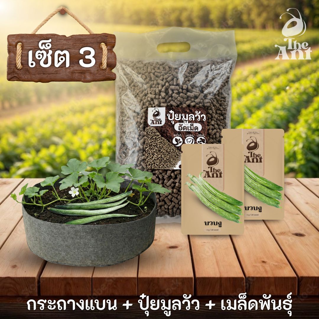 ชุดพร้อมปลูกบวบงูครบวงจร - กระถางผ้าแบนระบายอากาศ + ปุ๋ยมูลวัวอัดเม็ด 1 กก. + เมล็ดพันธุ์ 2 ซอง