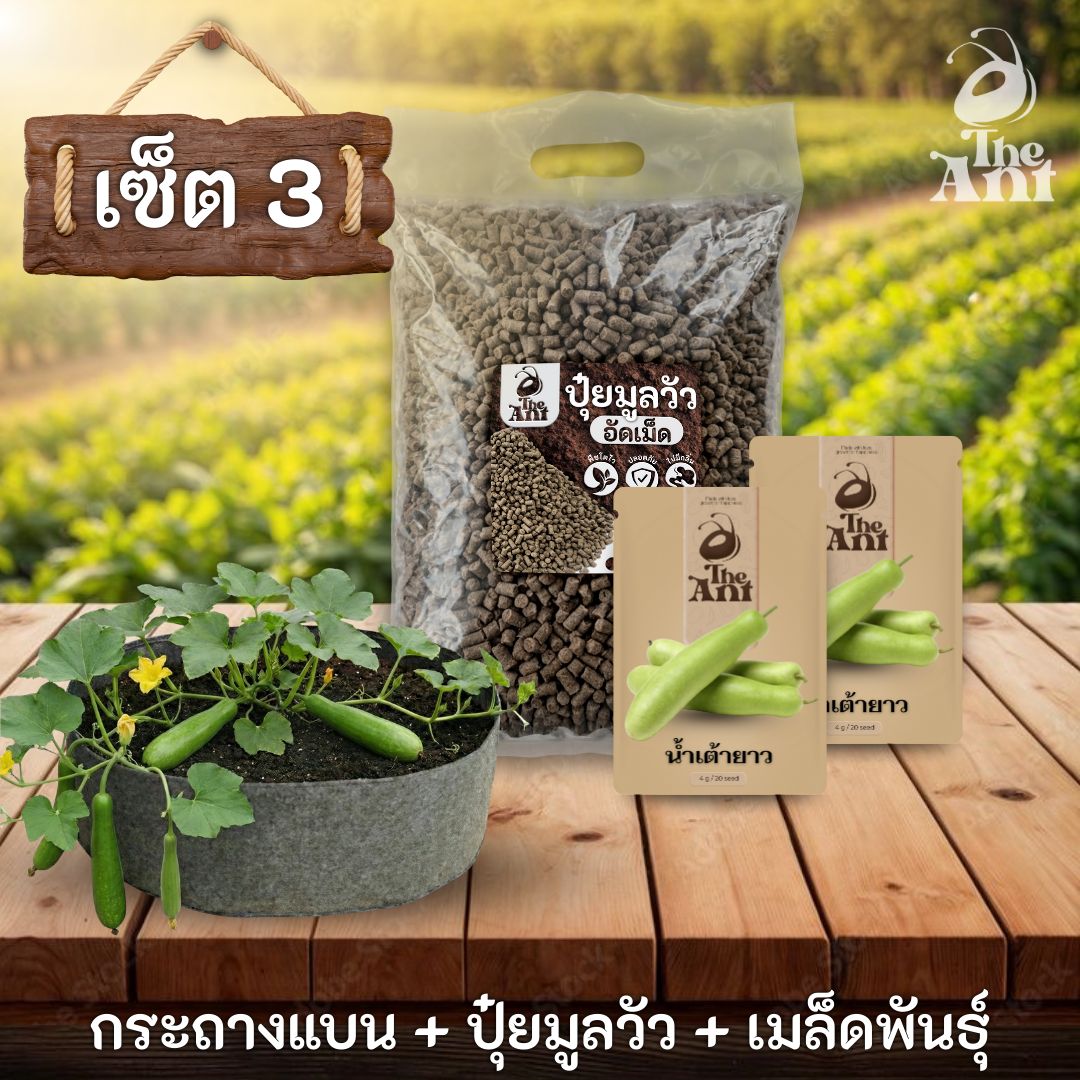 ชุดพร้อมปลูกน้ำเต้ายาวครบวงจร - กระถางผ้าแบนระบายอากาศ + ปุ๋ยมูลวัวอัดเม็ด 1 กก. + เมล็ดพันธุ์ 2 ซอง