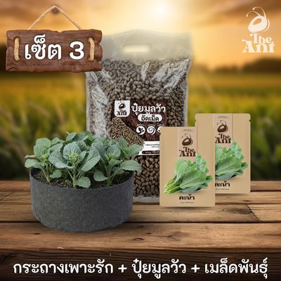 ชุดพร้อมปลูกคะน้าฮ่องกงครบวงจร - กระถางผ้าแบนระบายอากาศ + ปุ๋ยมูลวัวอัดเม็ด 1 กก. + เมล็ดพันธุ์ 2 ซอง