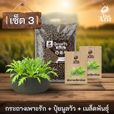 ชุดพร้อมปลูกผักกาดเขียวน้อยครบวงจร - กระถางผ้าแบนระบายอากาศ + ปุ๋ยมูลวัวอัดเม็ด 1 กก. + เมล็ดพันธุ์ 2 ซอง
