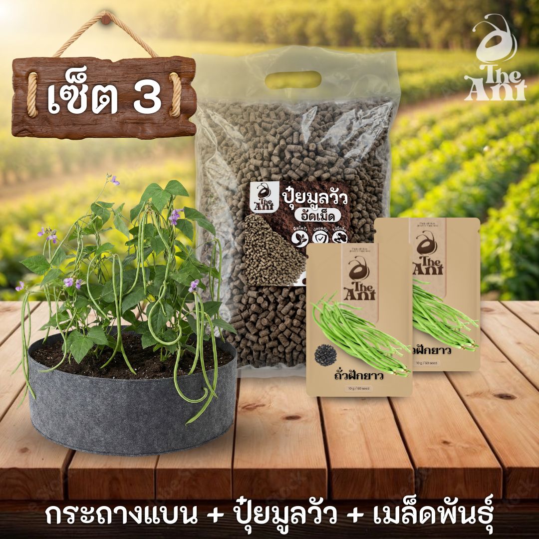 ชุดพร้อมปลูกถั่วฝักยาวครบวงจร - กระถางผ้าแบนระบายอากาศ + ปุ๋ยมูลวัวอัดเม็ด 1 กก. + เมล็ดพันธุ์ 2 ซอง