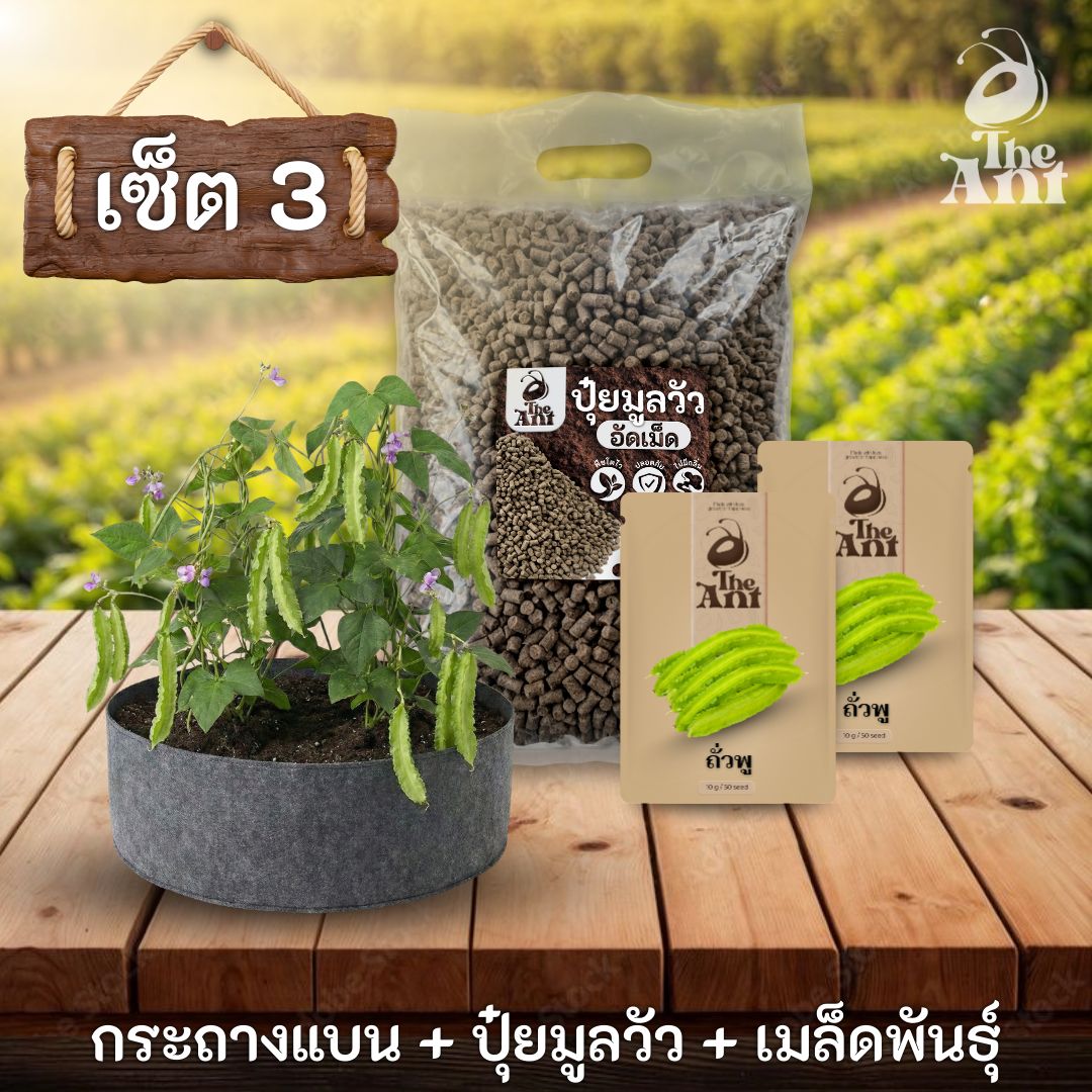 ชุดพร้อมปลูกถั่วพูครบวงจร - กระถางผ้าแบนระบายอากาศ + ปุ๋ยมูลวัวอัดเม็ด 1 กก. + เมล็ดพันธุ์ 2 ซอง