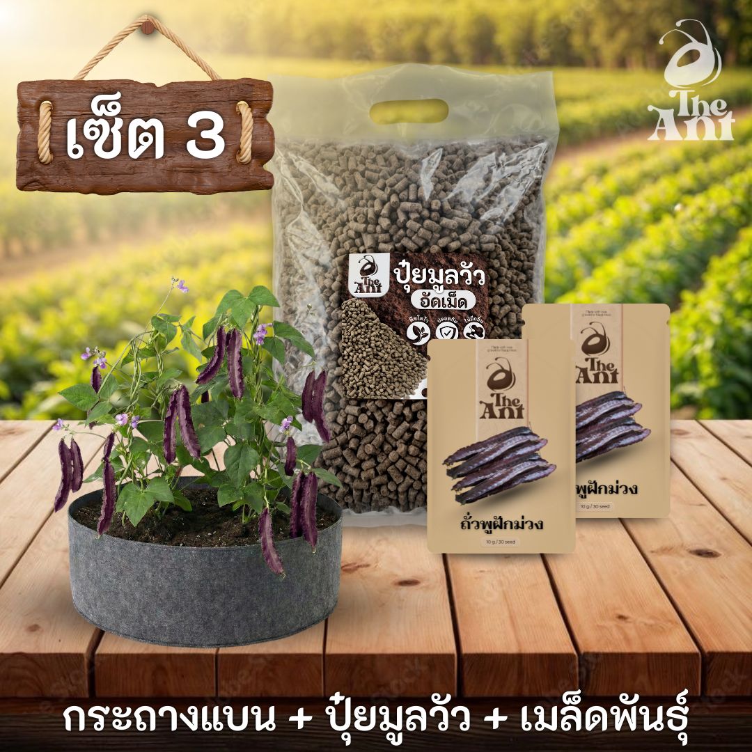 ชุดพร้อมปลูกถั่วพูฝักม่วงครบวงจร - กระถางผ้าแบนระบายอากาศ + ปุ๋ยมูลวัวอัดเม็ด 1 กก. + เมล็ดพันธุ์ 2 ซอง