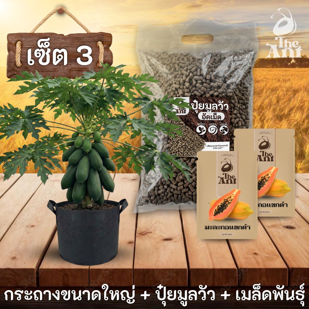 ชุดพร้อมปลูกมะละกอแขกดำครบวงจร - กระถางผ้าแบนระบายอากาศ + ปุ๋ยมูลวัวอัดเม็ด 1 กก. + เมล็ดพันธุ์ 2 ซอง