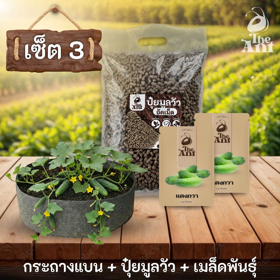 ชุดพร้อมปลูกแตงกวาครบวงจร - กระถางผ้าแบนระบายอากาศ + ปุ๋ยมูลวัวอัดเม็ด 1 กก. + เมล็ดพันธุ์ 2 ซอง