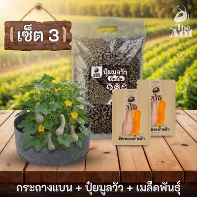 ชุดพร้อมปลูกฟักทองน้ำเต้าครบวงจร - กระถางผ้าแบนระบายอากาศ + ปุ๋ยมูลวัวอัดเม็ด 1 กก. + เมล็ดพันธุ์ 2 ซอง