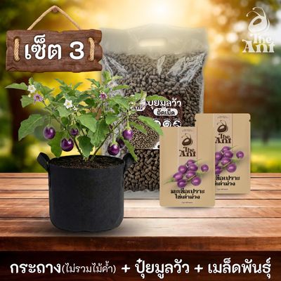 ชุดพร้อมปลูกมะเขือเปราะไข่เต่าสีม่วงครบวงจร - กระถางผ้าระบายอากาศ+ ปุ๋ยมูลวัวอัดเม็ด 1 กก. + เมล็ดพันธุ์ 2 ซอง