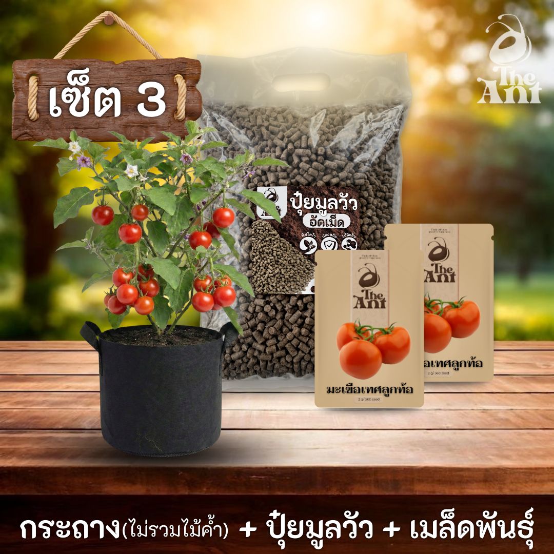 ชุดพร้อมปลูกมะเขือเทศลูกท้อครบวงจร - กระถางผ้าระบายอากาศ + ปุ๋ยมูลวัวอัดเม็ด 1 กก. + เมล็ดพันธุ์ 2 ซอง