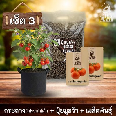 ชุดพร้อมปลูกมะเขือเทศลูกท้อครบวงจร - กระถางผ้าระบายอากาศ + ปุ๋ยมูลวัวอัดเม็ด 1 กก. + เมล็ดพันธุ์ 2 ซอง
