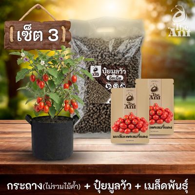 ชุดพร้อมปลูกมะเขือเทศเชอร์รี่แดงครบวงจร - กระถางผ้าระบายอากาศ + ปุ๋ยมูลวัวอัดเม็ด 1 กก. + เมล็ดพันธุ์ 2 ซอง