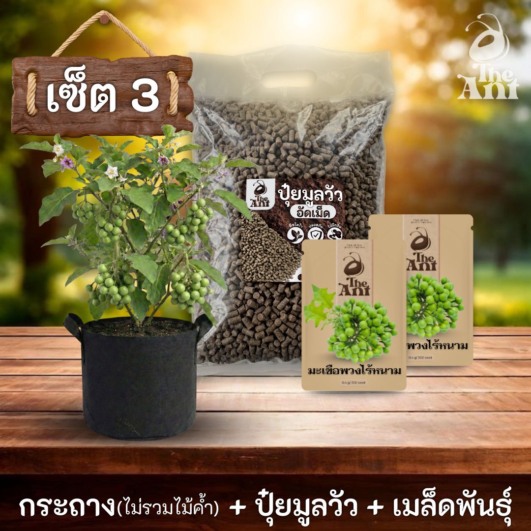 ชุดพร้อมปลูกมะเขือพวงไร้หนามครบวงจร - กระถางผ้าระบายอากาศ + ปุ๋ยมูลวัวอัดเม็ด 1 กก. + เมล็ดพันธุ์ 2 ซอง