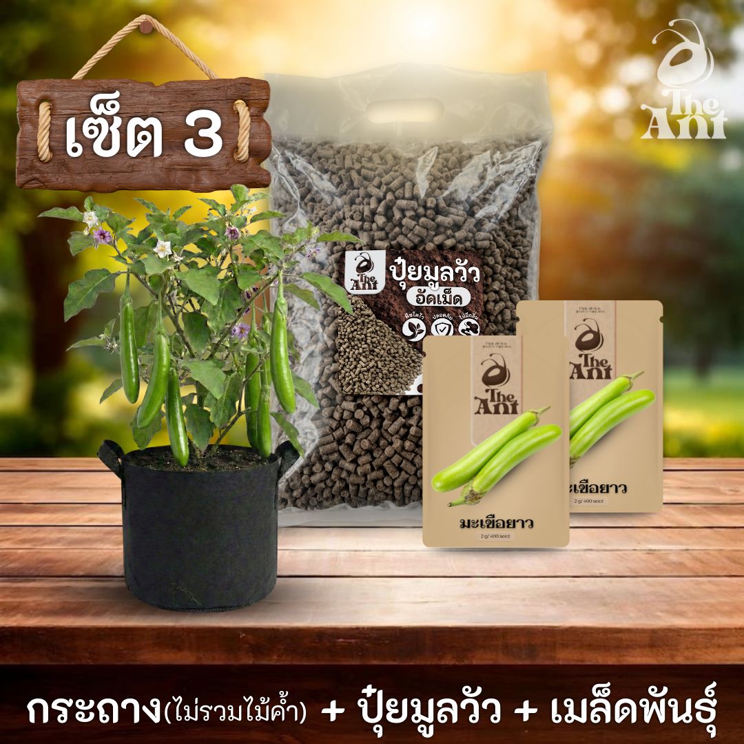 ชุดพร้อมปลูกมะเขือยาวครบวงจร - กระถางผ้าระบายอากาศ+ ปุ๋ยมูลวัวอัดเม็ด 1 กก. + เมล็ดพันธุ์ 2 ซอง