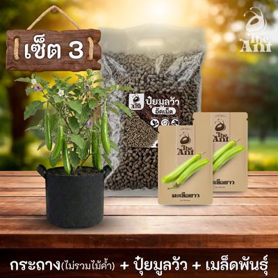 ชุดพร้อมปลูกมะเขือยาวครบวงจร - กระถางผ้าระบายอากาศ+ ปุ๋ยมูลวัวอัดเม็ด 1 กก. + เมล็ดพันธุ์ 2 ซอง