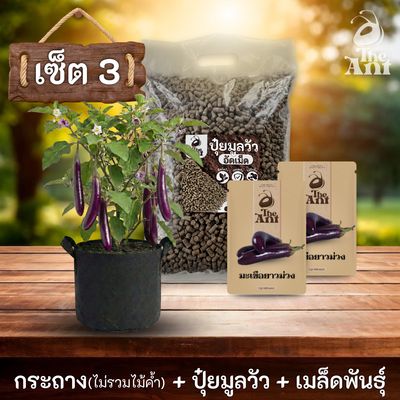 ชุดพร้อมปลูกมะเขือยาวม่วงครบวงจร - กระถางผ้าระบายอากาศ+ ปุ๋ยมูลวัวอัดเม็ด 1 กก. + เมล็ดพันธุ์ 2 ซอง