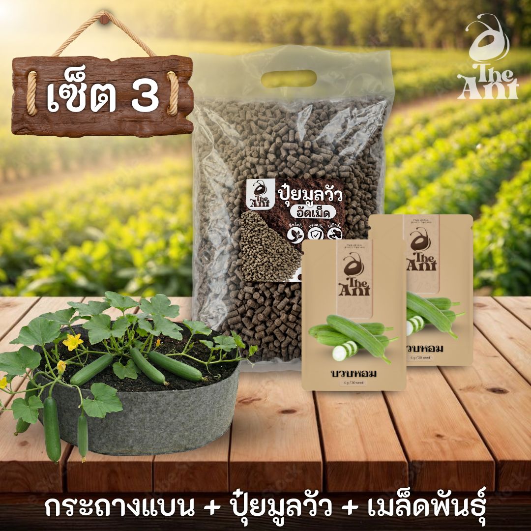 ชุดพร้อมปลูกบวบหอมครบวงจร - กระถางผ้าแบนระบายอากาศ + ปุ๋ยมูลวัวอัดเม็ด 1 กก. + เมล็ดพันธุ์ 2 ซอง