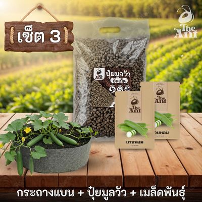 ชุดพร้อมปลูกบวบหอมครบวงจร - กระถางผ้าแบนระบายอากาศ + ปุ๋ยมูลวัวอัดเม็ด 1 กก. + เมล็ดพันธุ์ 2 ซอง