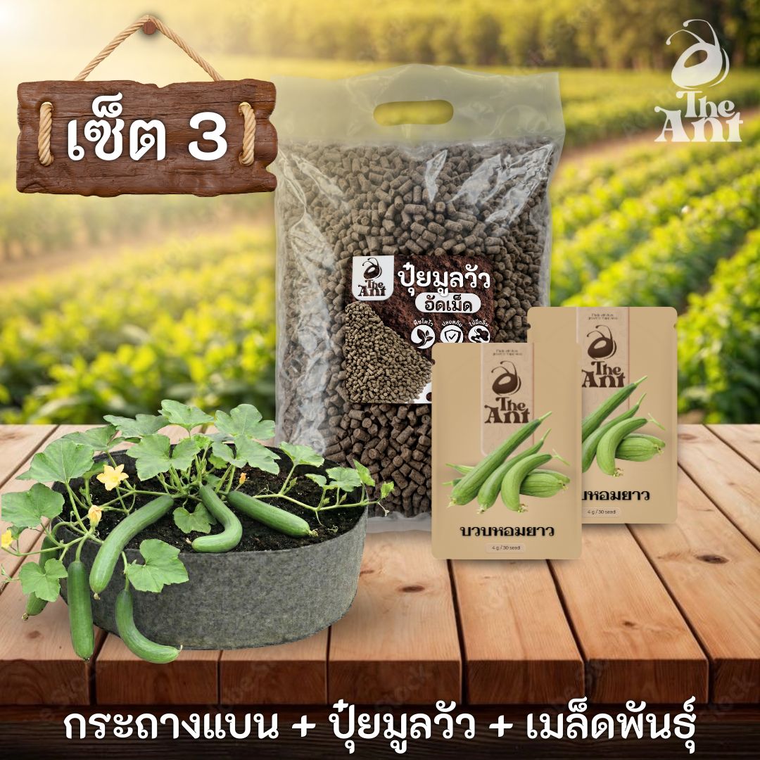 ชุดพร้อมปลูกบวบหอมยาวครบวงจร - กระถางผ้าแบนระบายอากาศ + ปุ๋ยมูลวัวอัดเม็ด 1 กก. + เมล็ดพันธุ์ 2 ซอง