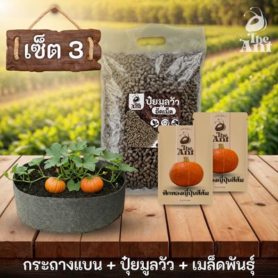 ชุดพร้อมปลูกฟักทองญี่ปุ่นสีส้มครบวงจร - กระถางผ้าแบนระบายอากาศ + ปุ๋ยมูลวัวอัดเม็ด 1 กก. + เมล็ดพันธุ์ 2 ซอง