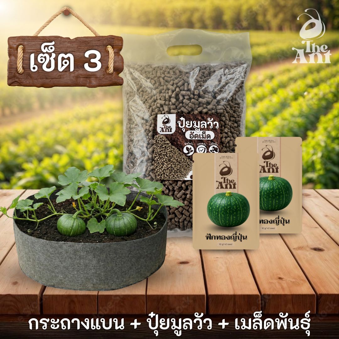 ชุดพร้อมปลูกฟักทองญี่ปุ่นครบวงจร - กระถางผ้าแบนระบายอากาศ + ปุ๋ยมูลวัวอัดเม็ด 1 กก. + เมล็ดพันธุ์ 2 ซอง