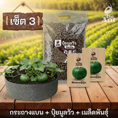 ชุดพร้อมปลูกฟักทองญี่ปุ่นครบวงจร - กระถางผ้าแบนระบายอากาศ + ปุ๋ยมูลวัวอัดเม็ด 1 กก. + เมล็ดพันธุ์ 2 ซอง