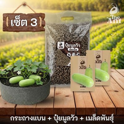 ชุดพร้อมปลูกแฟงครบวงจร - กระถางผ้าแบนระบายอากาศ + ปุ๋ยมูลวัวอัดเม็ด 1 กก. + เมล็ดพันธุ์ 2 ซอง