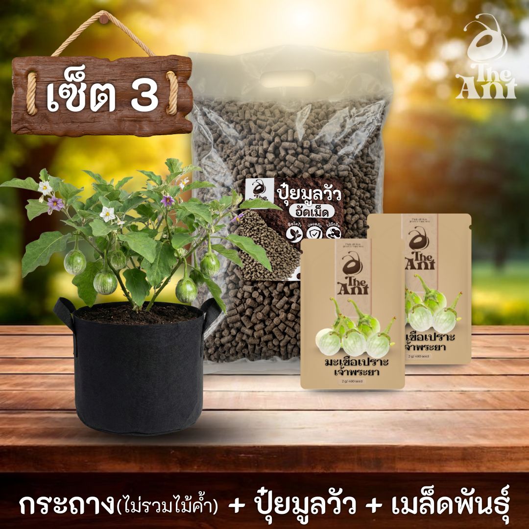 ชุดพร้อมปลูกมะเขือเปราะเจ้าพระยาครบวงจร - กระถางผ้าระบายอากาศ + ปุ๋ยมูลวัวอัดเม็ด 1 กก. + เมล็ดพันธุ์ 2 ซอง