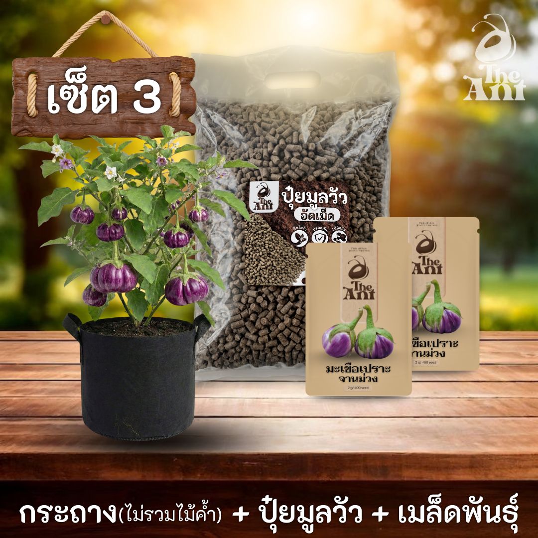 ชุดพร้อมปลูกมะเขือเปราะจานม่วงครบวงจร - กระถางผ้าระบายอากาศ + ปุ๋ยมูลวัวอัดเม็ด 1 กก. + เมล็ดพันธุ์ 2 ซอง
