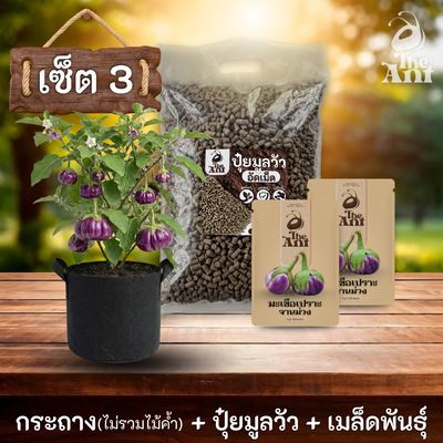 ชุดพร้อมปลูกมะเขือเปราะจานม่วงครบวงจร - กระถางผ้าระบายอากาศ + ปุ๋ยมูลวัวอัดเม็ด 1 กก. + เมล็ดพันธุ์ 2 ซอง