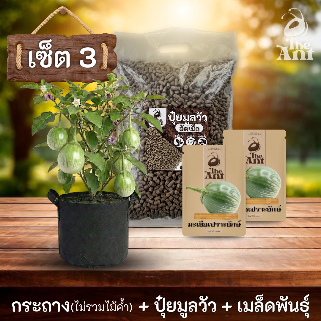 ชุดพร้อมปลูกมะเขือเปราะยักษ์ครบวงจร - กระถางผ้าระบายอากาศ + ปุ๋ยมูลวัวอัดเม็ด 1 กก. + เมล็ดพันธุ์ 2 ซอง